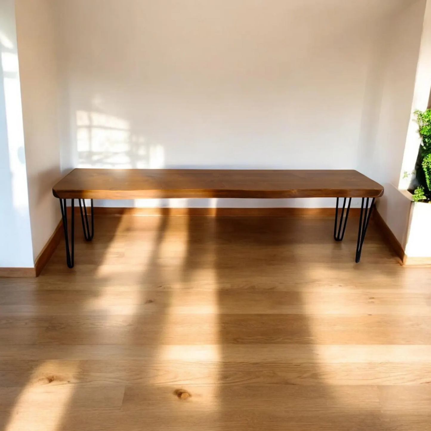 A rustic wooden bench with a live-edge tabletop and black hairpin legs, positioned against a white wall on a light wood floor with warm sunlight casting shadows.