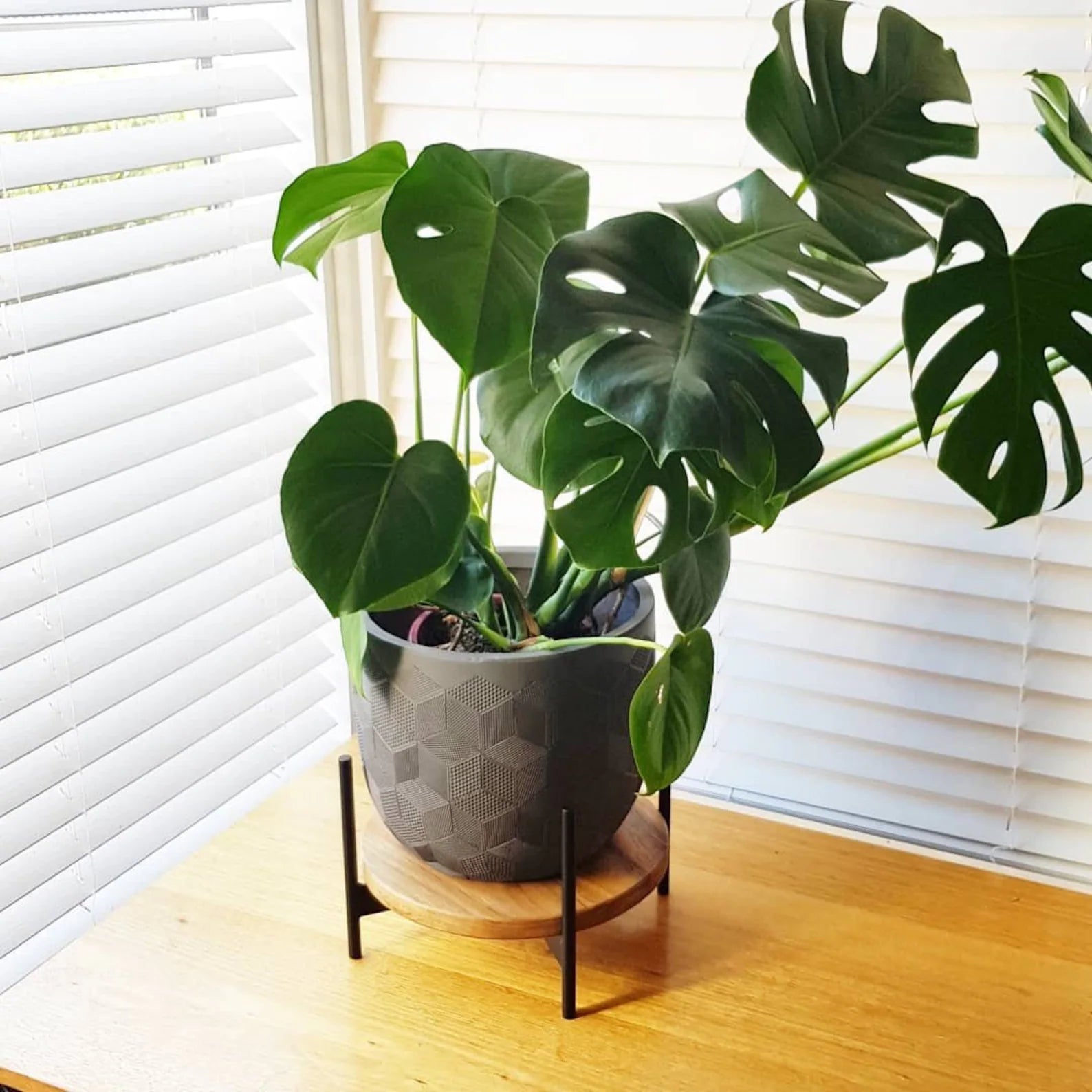 Little Bailey Plant Stand with Shelf – Adaptivo Furniture Pakistan